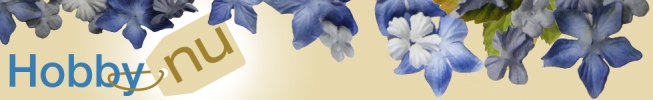 Hobbynu.nl logo